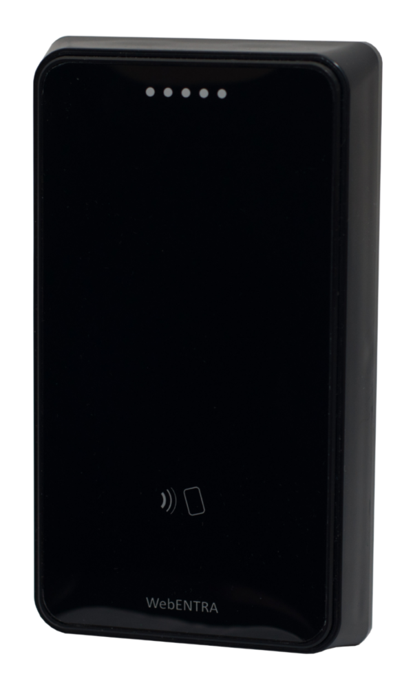 R381 1